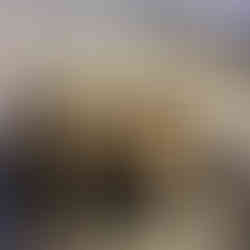 ART.Cy 2026 Field Trip April 10