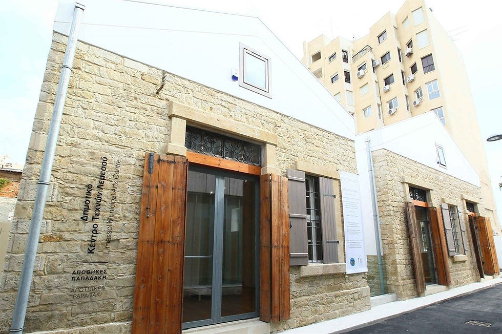The Limassol Municipal Arts Centre Apothikes Papadaki ARTCy
