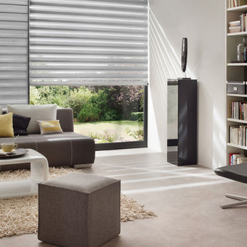 Day and night blinds