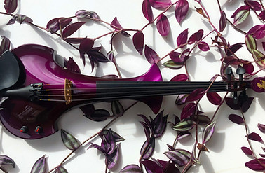 Image of Bridge Cygnus viola