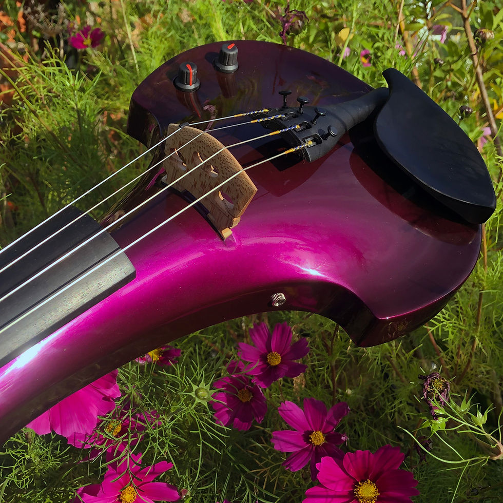 Thumbnail: Cygnus 4 String Purple