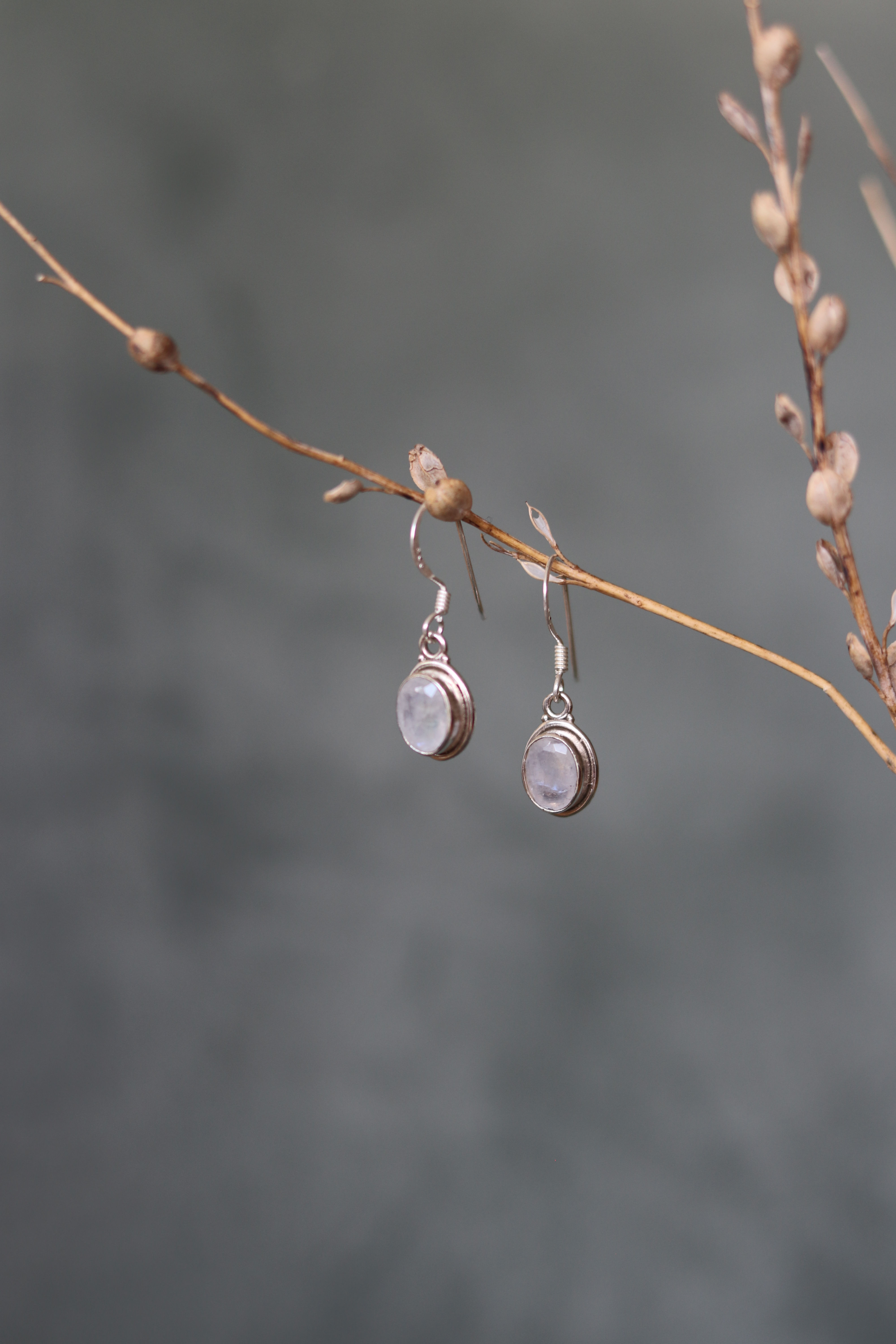 Ohrhänger | Mondstein in Silberfassung