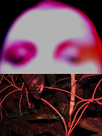 21-Femme vegetaleW.jpg