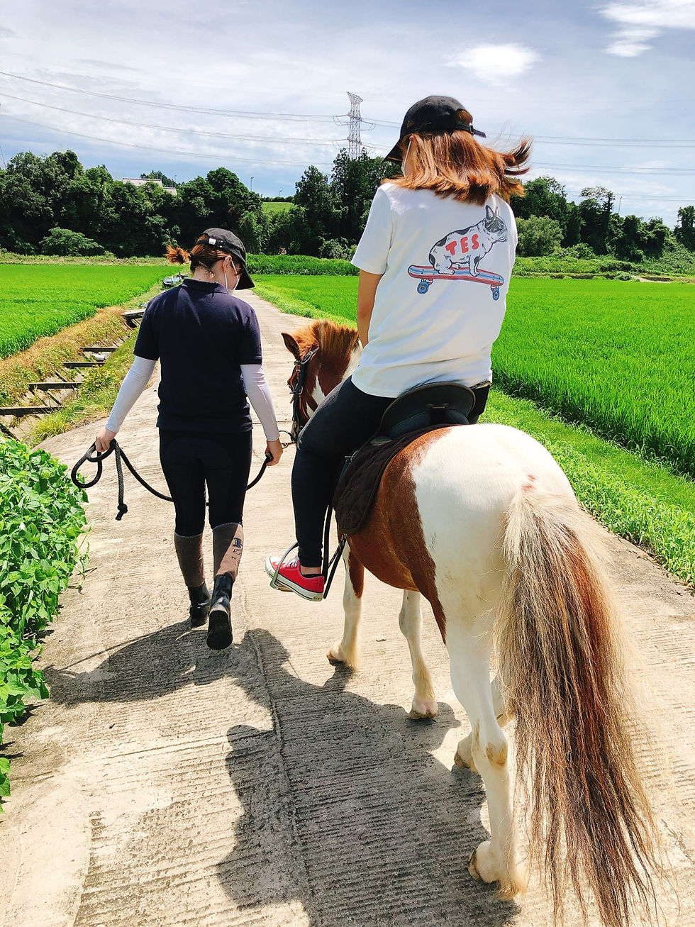 ボランティア体験開始 曳き馬 ポニー うまのあと