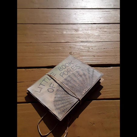 Time lapse video of Little Book of Pores