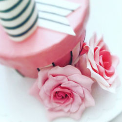 13537698_563581183821336_4950826474002959729_n