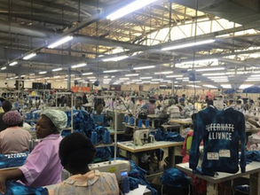 从肯尼亚到麦肯锡再到“海上钢琴家”：一个95后女孩的自由之旅