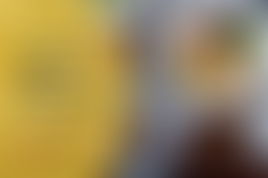 Vegan food business owner working on marketing and cash flow strategies