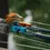 Thumbnail: Cling Mag Grab - Rod Rack