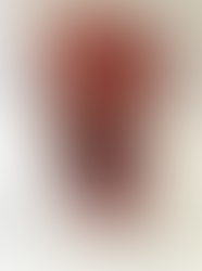 Seller’s Trademarks for online sales platforms or Combined Triple Parallel Branding