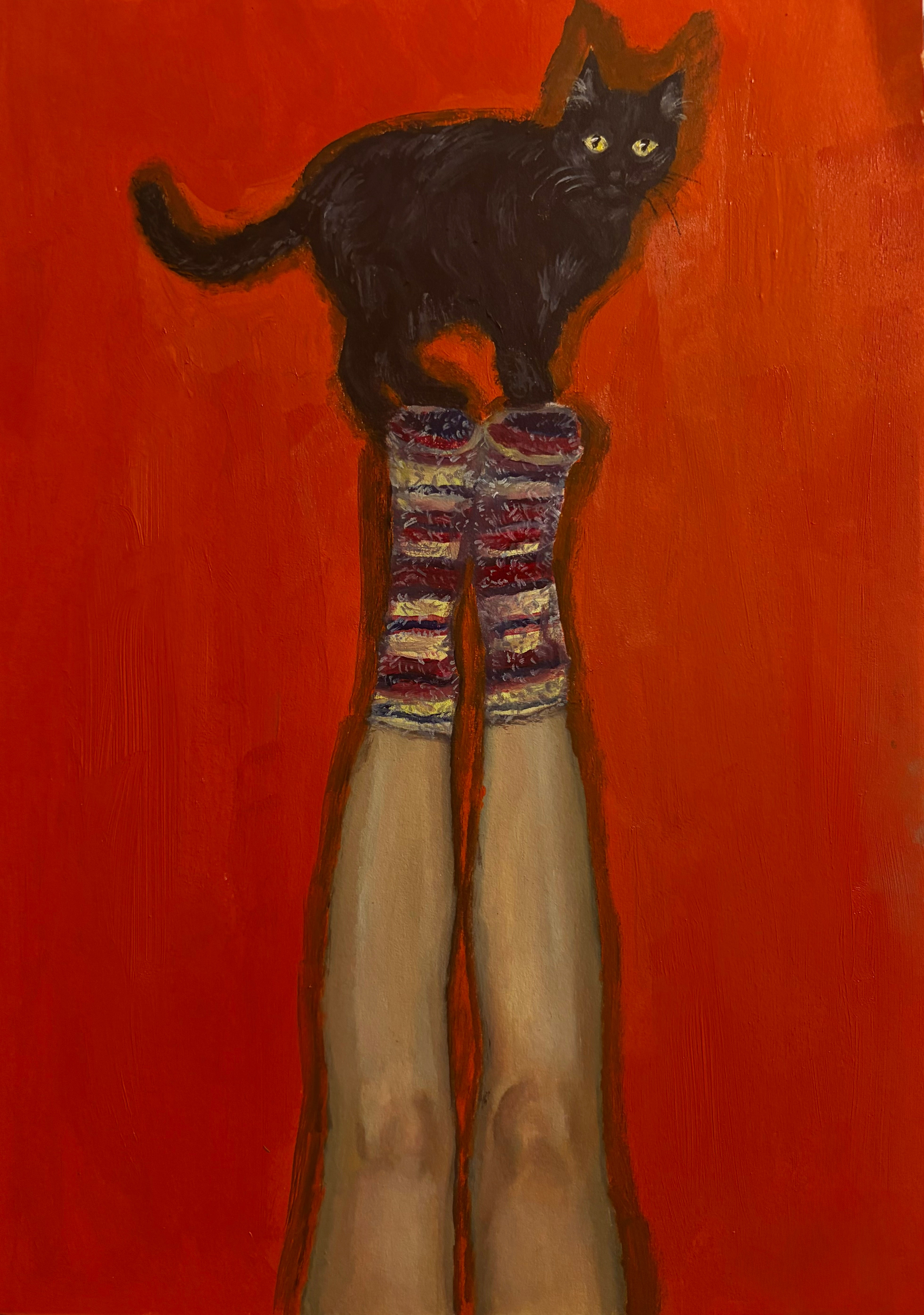 Cat & Socks