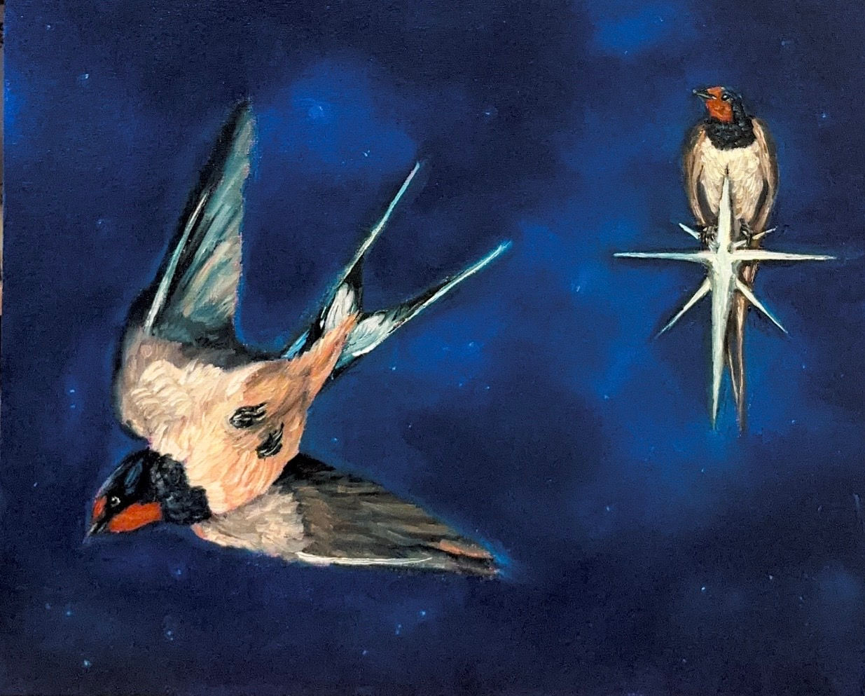 Swallow or Star