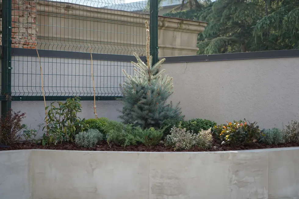 ჰაუსარტ პლაზა - Housart Plaza