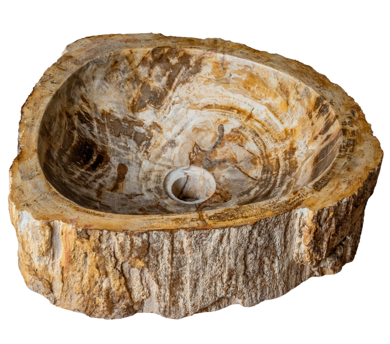 vasque fossile évacuation