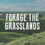 Thumbnail: Forage The Grasslands