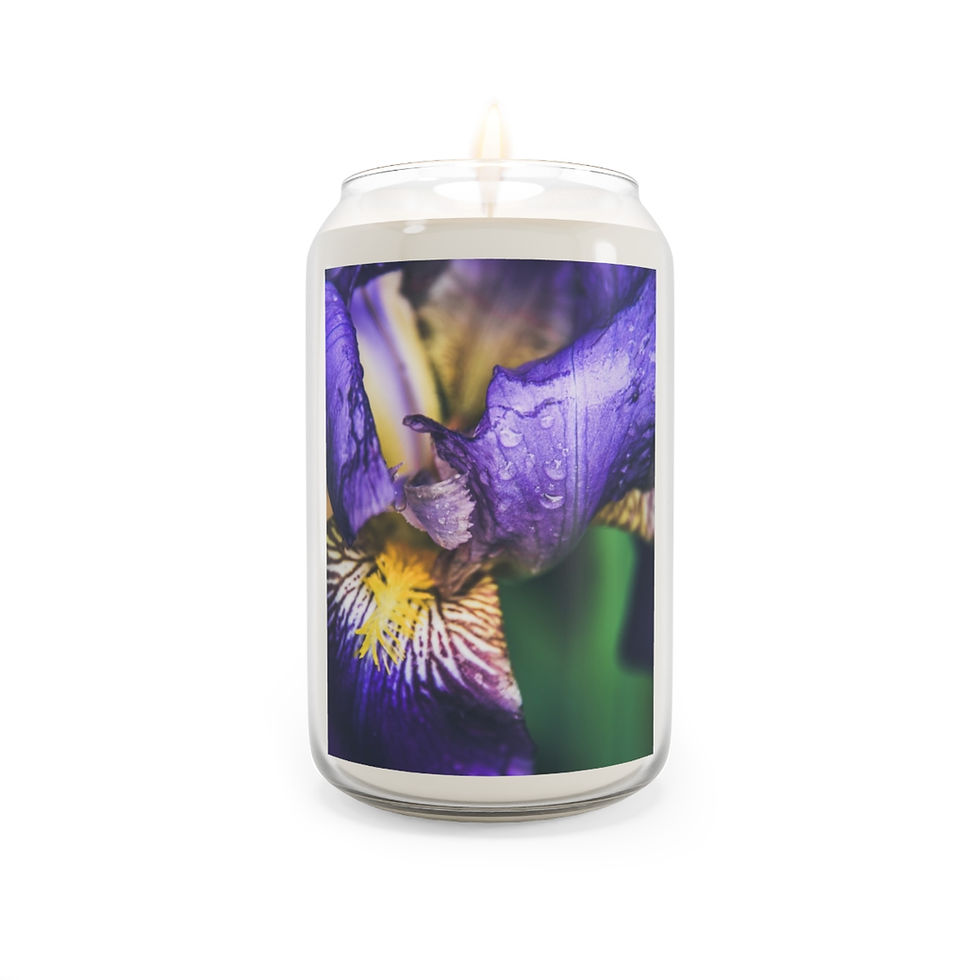 Thumbnail: Rainy Day Iris ~ Candle 