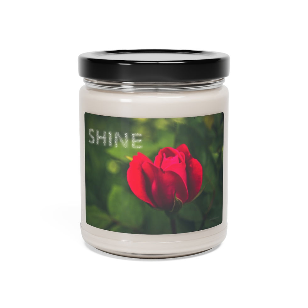 Thumbnail: Shine ~ Red Rose Soy Candle, 9oz