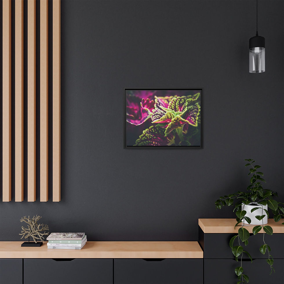 Thumbnail:  Floral Fling