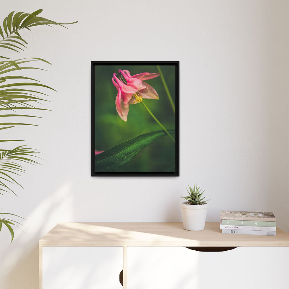 Flamingo Blooms