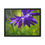Thumbnail: Purple Columbine 