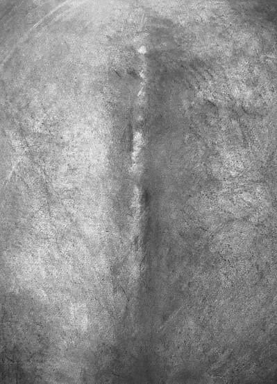 Nevius_Sara_Spine II.jpg