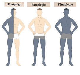 1C2F44FC-423D-422C-B9A4-2E918AD7C0A2-893