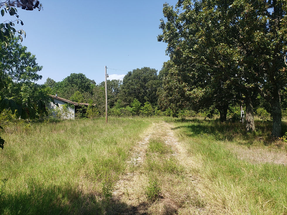 Thumbnail: 3 Acres MOL with Small Cabin Corning, Arkansas Clay County