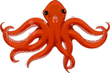 Tollkuehn_Kracke.png