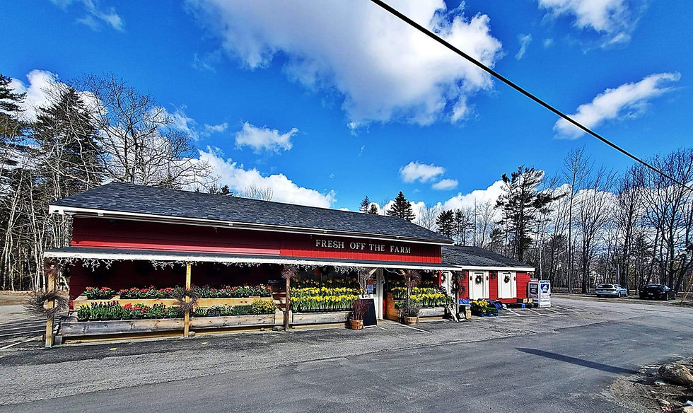 Fresh Off The Farm Rockport, ME FreshOffTheFarmRockport