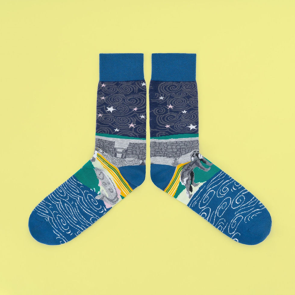 Thumbnail: Socks with Irish scenes