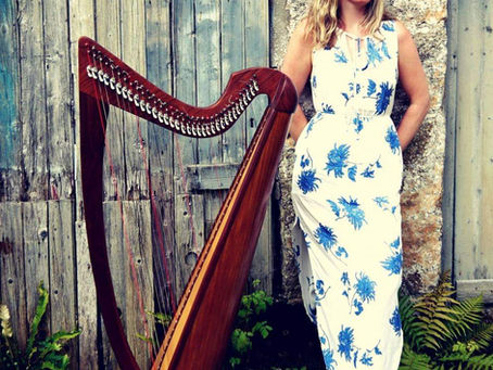 Harp Lesson Anyone??