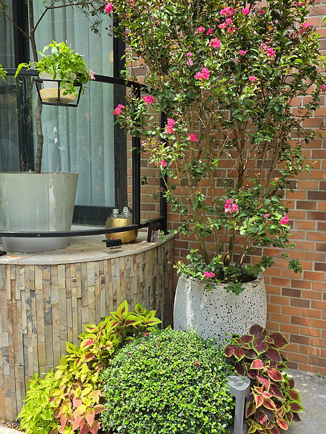 整體空間由灰階轉為自然綠意，展現居家空間的生命力