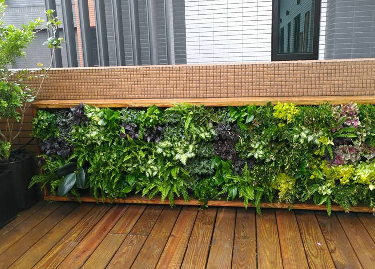 北投李公館住宅露臺設計結合木地板與植物牆，展現自然舒適的戶外空間｜院子園藝作品
