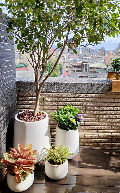 北市廈門街大樓露臺空間設計，鋪設木地板，搭配大小盆栽與戶外桌椅，展現自然生活氛圍｜院子園藝作品