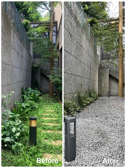 樣性植栽與硬鋪面結合，創造自然與秩序共存的側院造景｜院子園藝作品