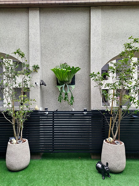 從住宅出入口望向庭院景觀，動線明確且綠化元素自然融合建築量體｜院子園藝作品