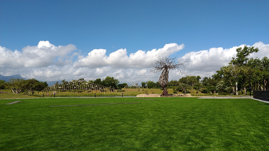 草皮區域開放式設計，適合舉辦活動與家庭使用，營造自然清新的文化景觀氛圍｜院子園藝作品