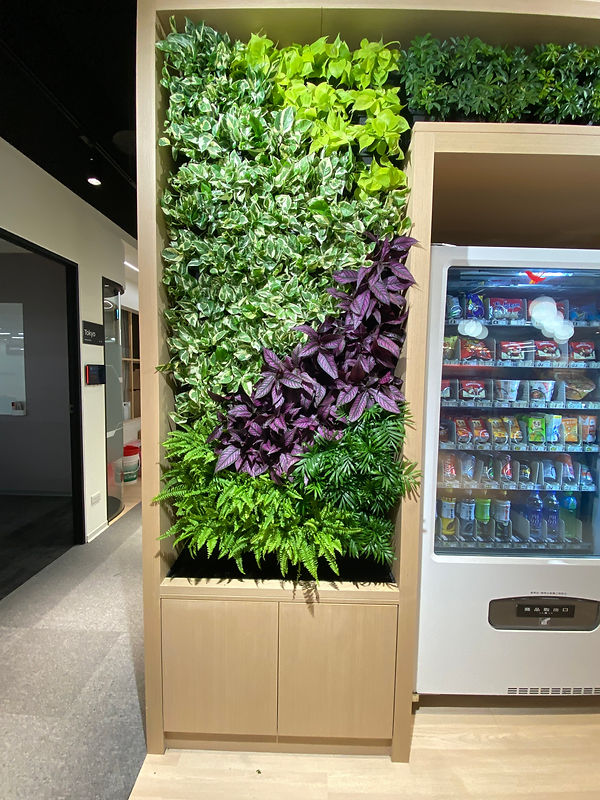 綠意植物牆搭配植物燈光，營造自然清新辦公氛圍