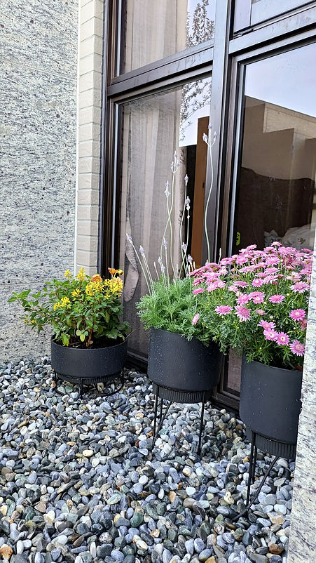 萬華國賓大理高樓露臺設計包含植生牆與多樣植栽盆栽，營造立體綠意環境｜院子園藝作品