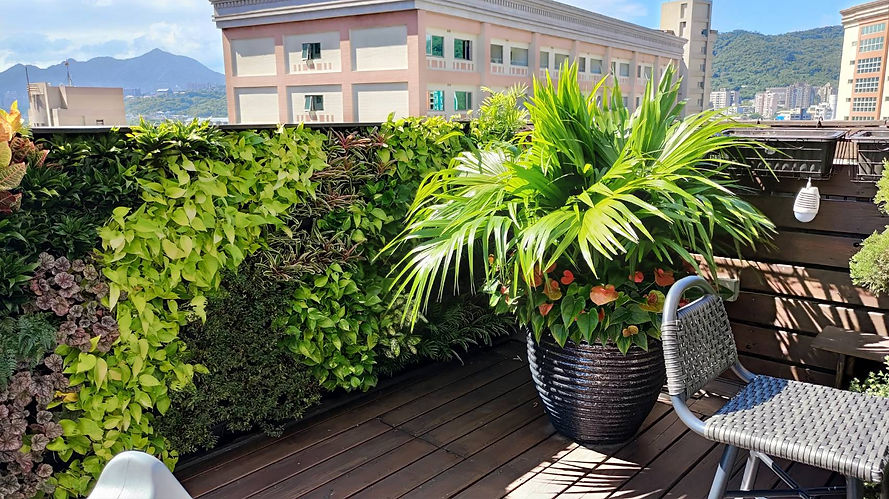 花台內多樣繽紛植栽與垂直植生牆相互呼應，營造視覺豐富的自然露臺｜院子園藝作品