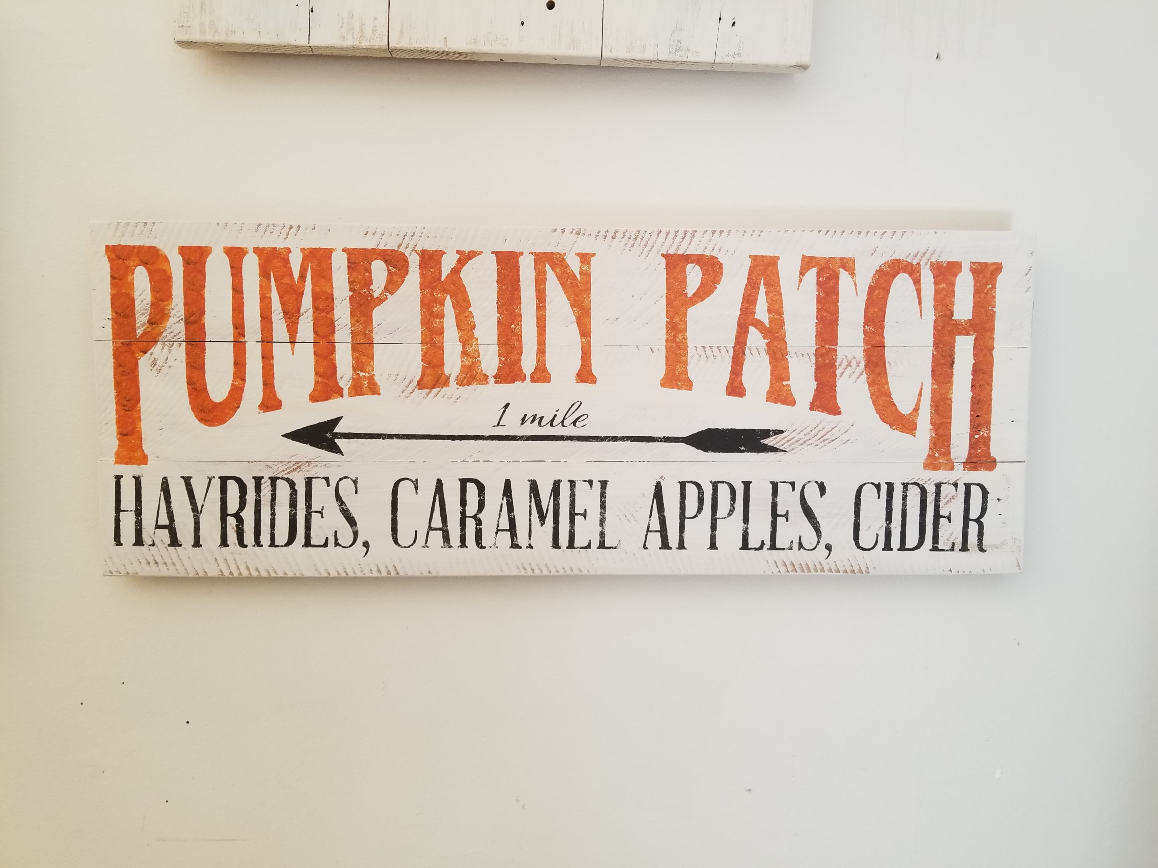 Pumpkin Patch