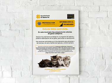 Cartel gatos.jpg