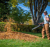Commercial Leaf Blowing Service