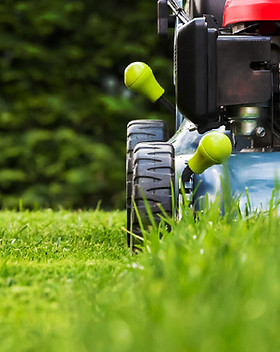 Lawn Mowing