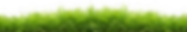 Thick Grass