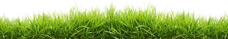 Thick Grass Border