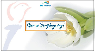 bevriijdingsdag.jpg