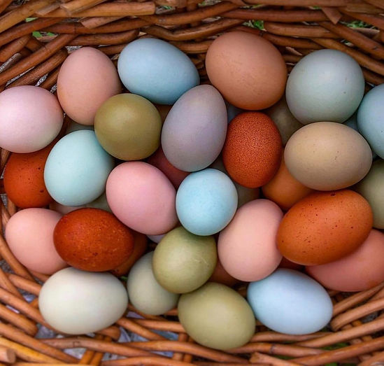 Fancy Eggs