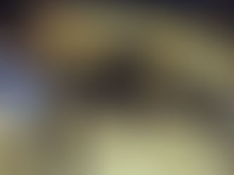 بالأسماء..23 معتقلًا في حملة إسرائيلية واسعة بالضفة