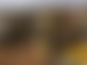 ألمانيا تفرض حظرًا جزئيًا على توريد الأسلحة لإسرائيل وسط توتر غزة